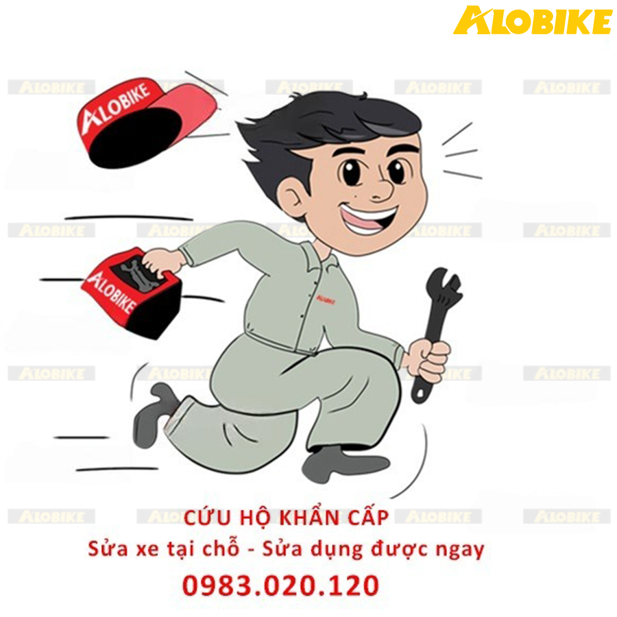dịch vụ cứu hộ khẩn cấp là gì